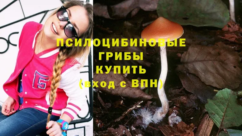 Псилоцибиновые грибы Psilocybine cubensis Ахтубинск